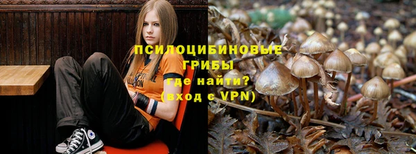 гидра Алексин