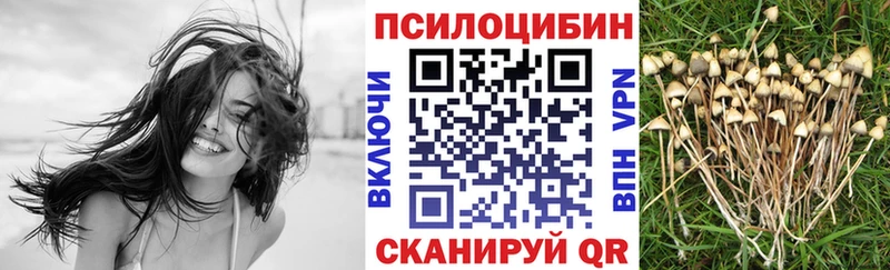 блэк спрут   как найти закладки  Ухта  Галлюциногенные грибы Psilocybe 