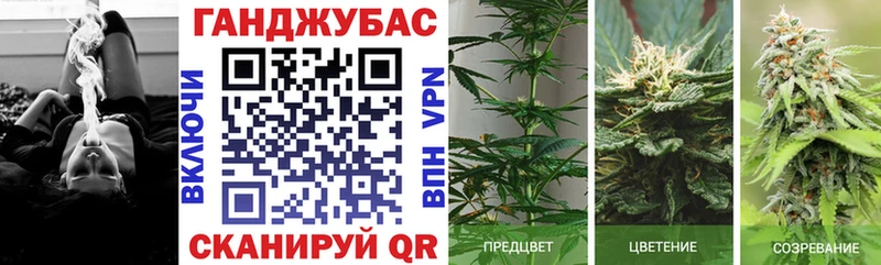 Бошки марихуана MAZAR нарко площадка клад Ухта